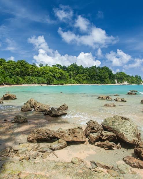 india landscape travel