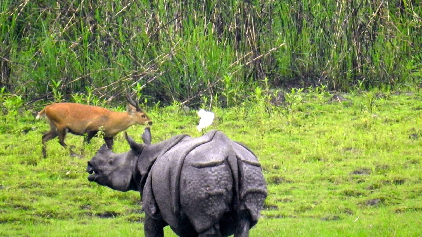 nature getaways india