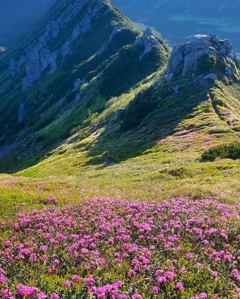 peaceful nature destinations india nature travel india