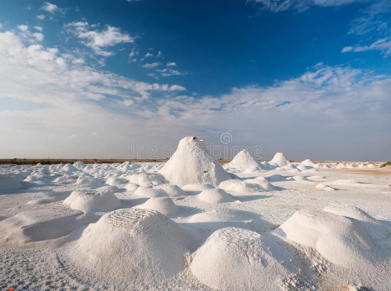 rann kutch located gujarat india breathtaking salt desert stretching endlessly across horizon india